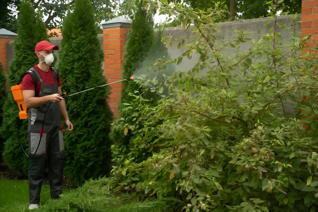 خدمات مكافحة الحشرات 1.webp